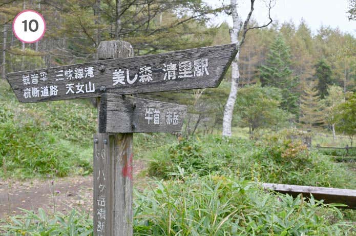 真教寺尾根　羽衣の池