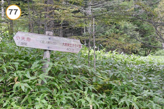 登山道入口