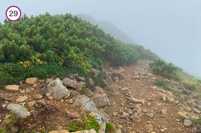 小蓮華山山頂直下