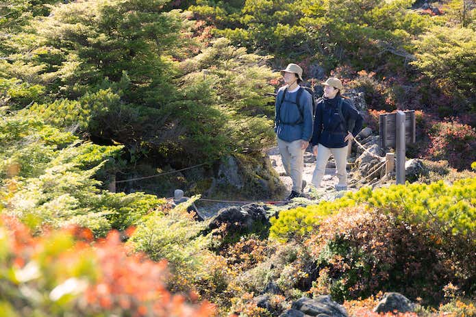 登山する人
