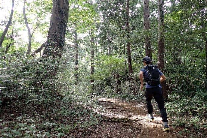 ディスタンス22を低山でレビュー