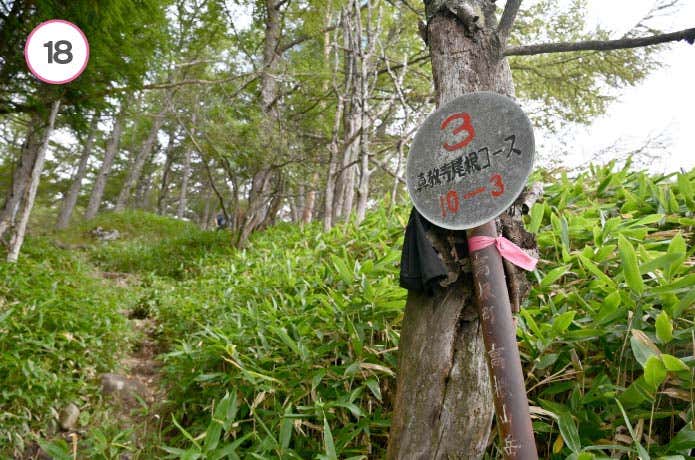 真教寺尾根　10分の3