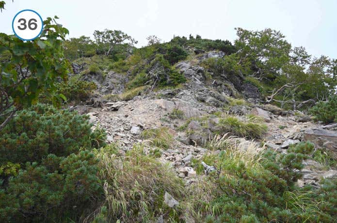 真教寺尾根　ガレ場