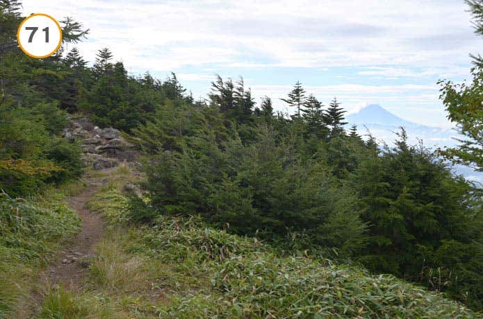 富士山の展望