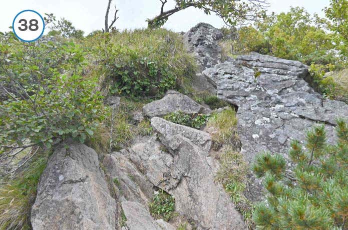 真教寺尾根　岩場
