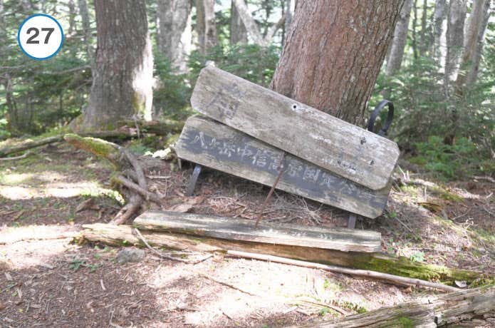 真教寺尾根　扇山