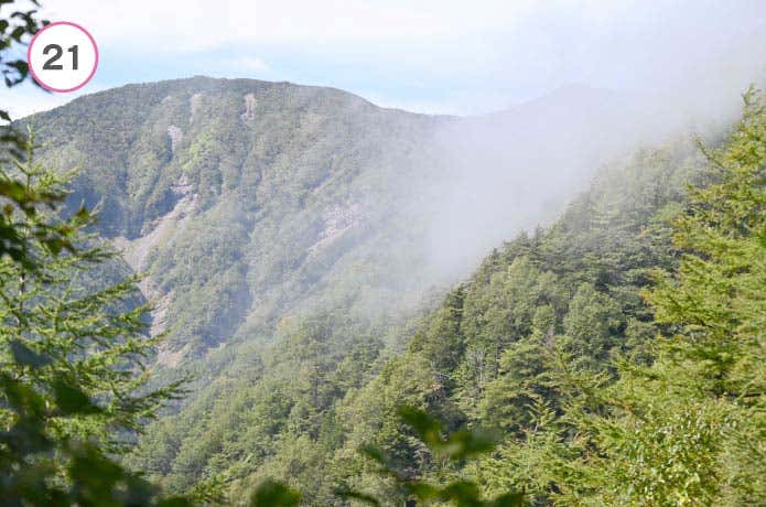 真教寺尾根　景色