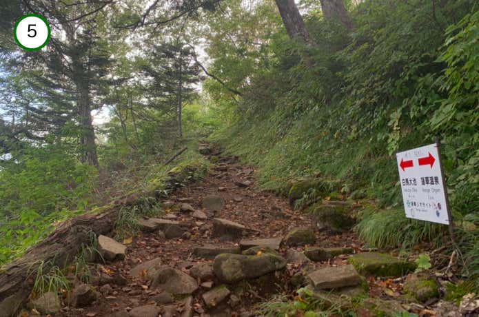 蓮華温泉から1km