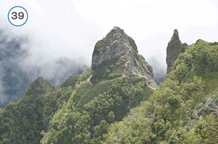 真教寺尾根　大天狗