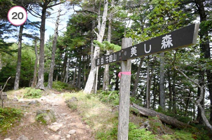 真教寺尾根　看板
