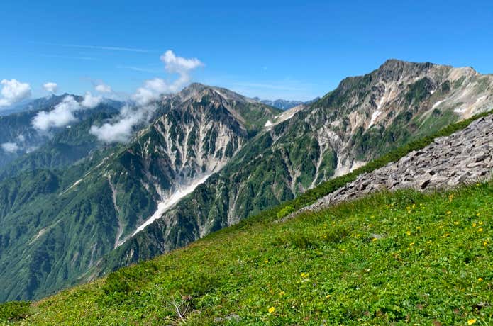 お花畑と白馬三山
