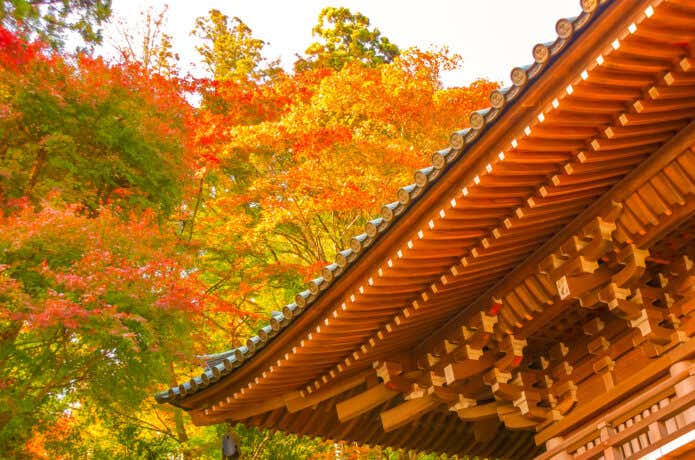 薬王院の屋根と紅葉