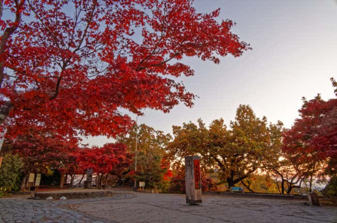 早朝の高尾山の紅葉