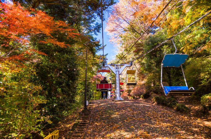 高尾山リフトから見る紅葉