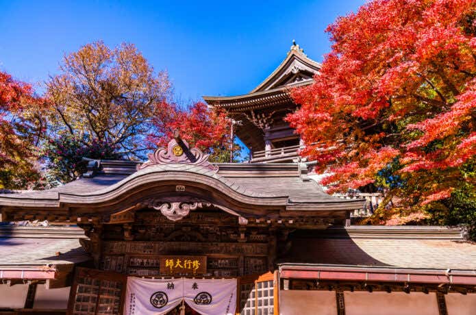 高尾山　薬王院と紅葉