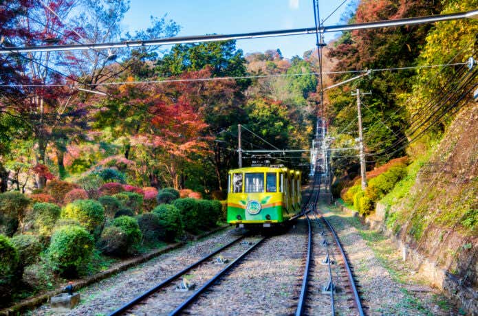 紅葉の中を走る高尾山ケーブルカー