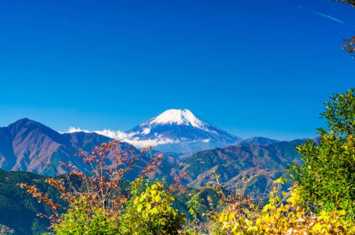 高尾山山頂から見た紅葉と富士山