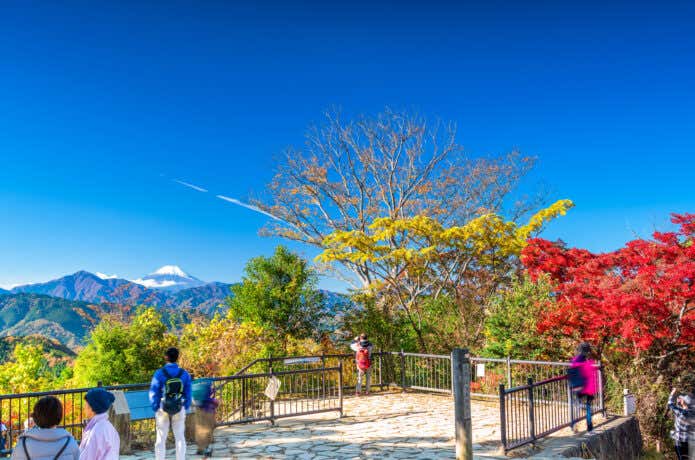 高尾山山頂の紅葉