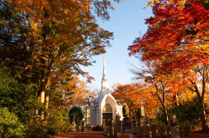 高尾山　仏舎利塔　紅葉