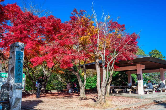 高尾山山頂付近の紅葉