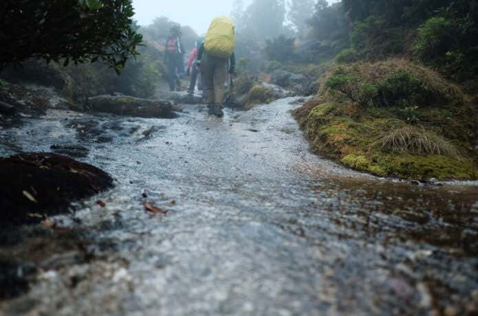 雨の登山