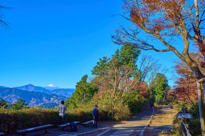 紅葉の高尾山　もみじ台から見る富士山