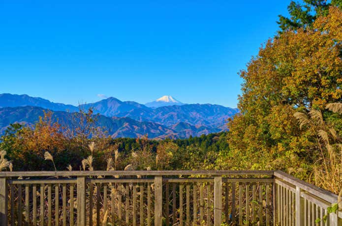 高尾山一丁平の紅葉時期の景色（富士山とすすき）