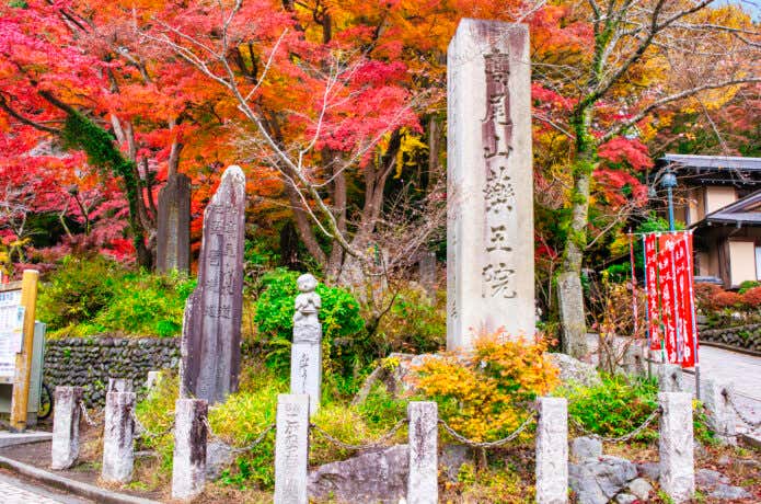 高尾山1号路入口の紅葉