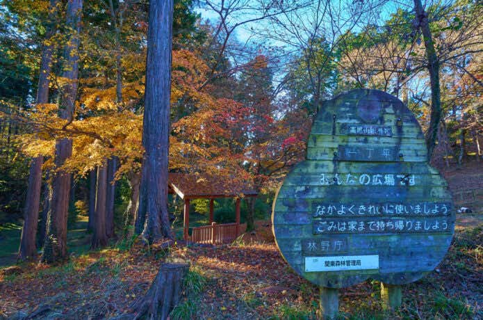 高尾山一丁平のみんなの広場と紅葉
