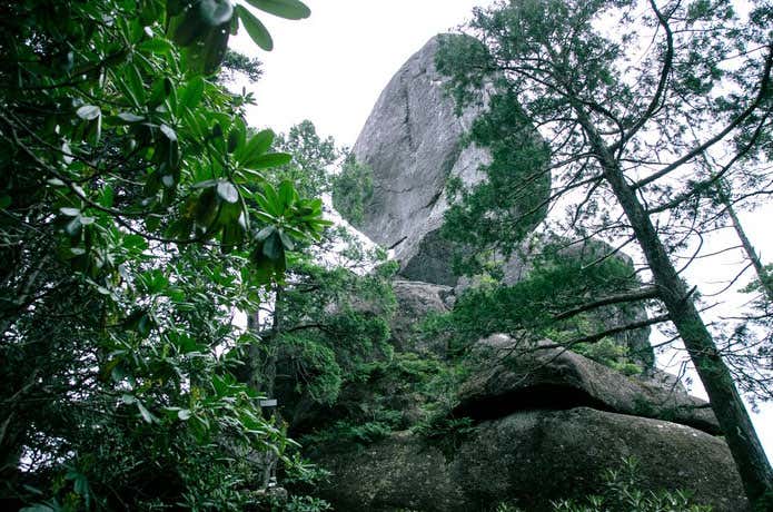 山　風景