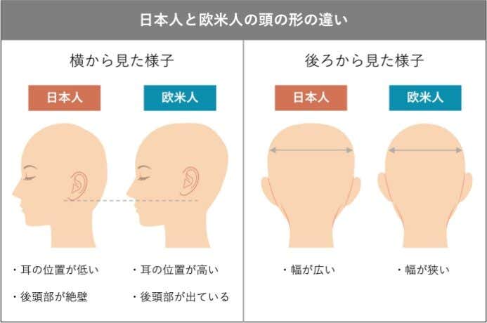 日本人と欧米人の頭の形の違いを表した画像