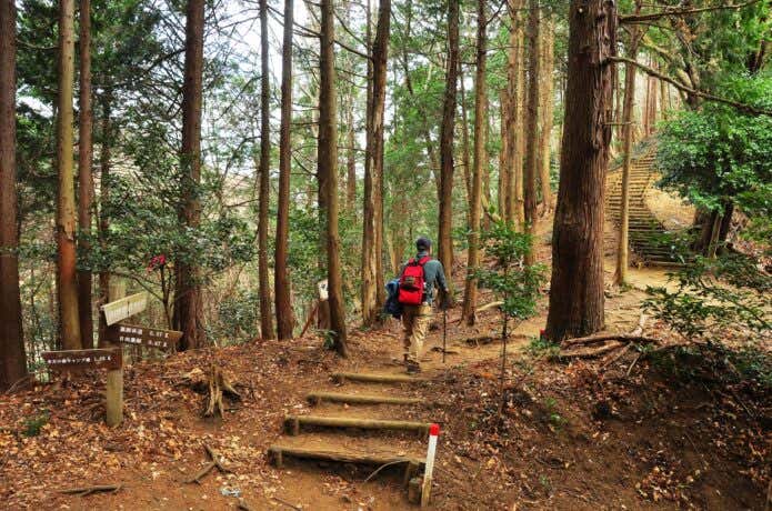 整備された登山道