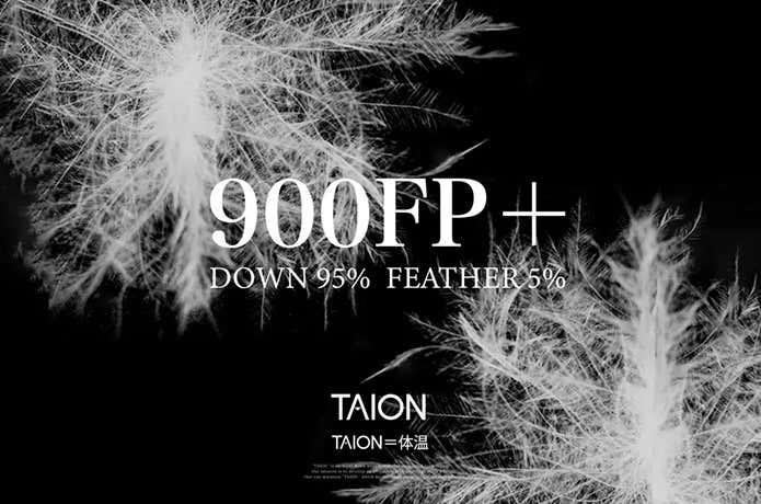 TAIONのマウンテンハイスペックのダウンイメージ