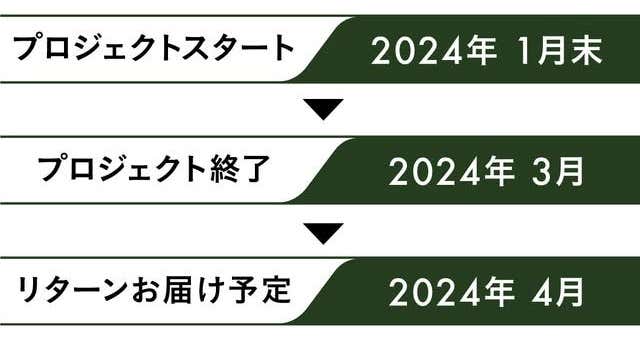スケジュール