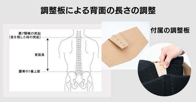 背中の適切な位置を簡単に設定