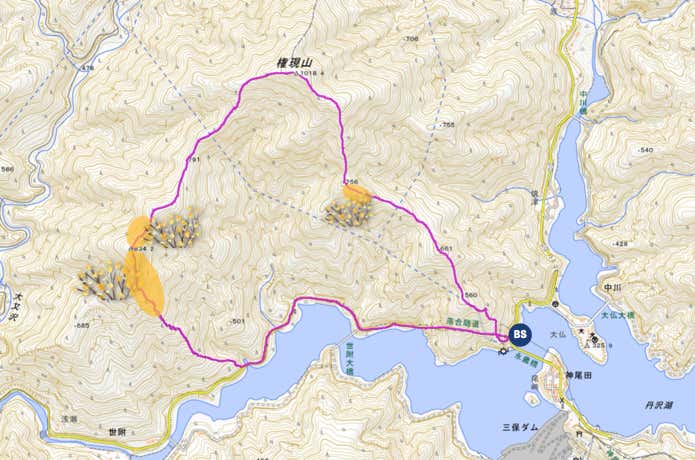 ミツバ岳MAP