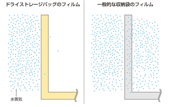 フィルムの構造詳細