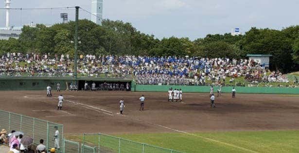 スポーツ観戦