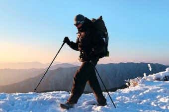 ZERO CARBON 115 FOLDING TREKKING POLE　ULカーボン3つ折りトレッキングポール　