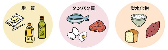 三大栄養素