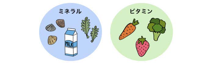 ビタミンミネラル