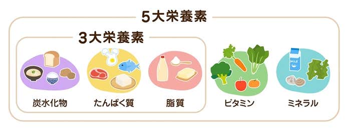 5大栄養素