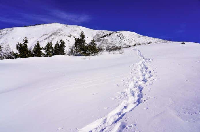 雪山のトレース（足跡）