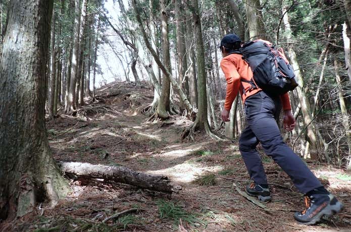 エクイリビウムハイクを山でレビュー