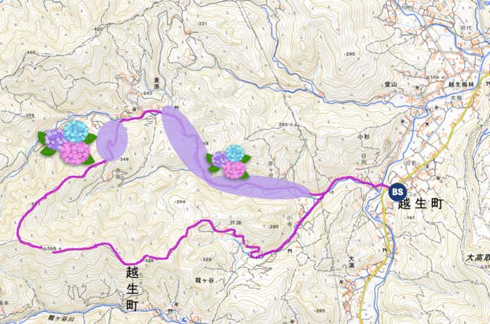 越生あじさい山MAP