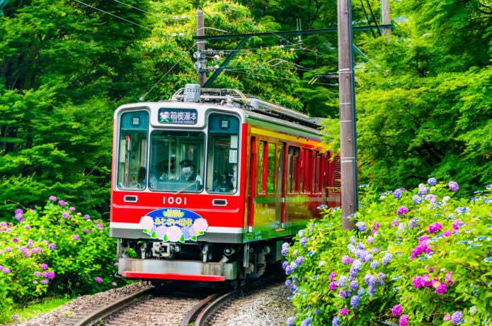 箱根登山鉄道・あじさい電車