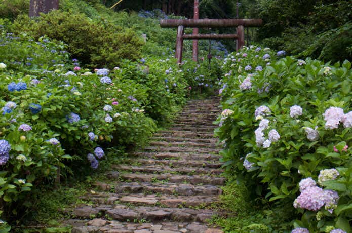 太平山神社の表参道