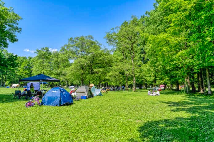 公園でのデイキャンプ