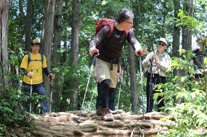 トレッキングポール 講習 山