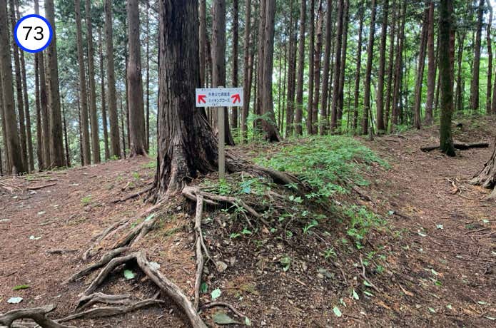尾根道と巻道の分岐